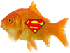 superfishie